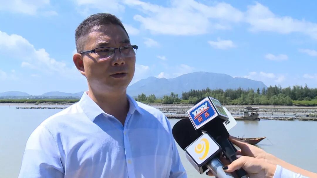 阳西人你去过程村镇豪光村那个叫做白鹭的天堂的小岛吗