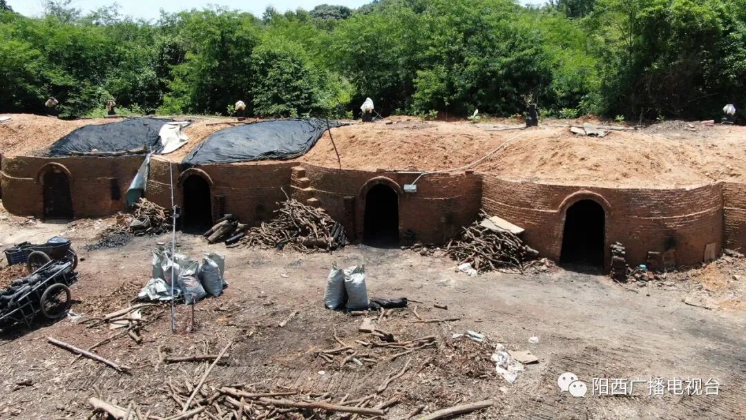 织篢镇依法拆除40多口非法小炭窑