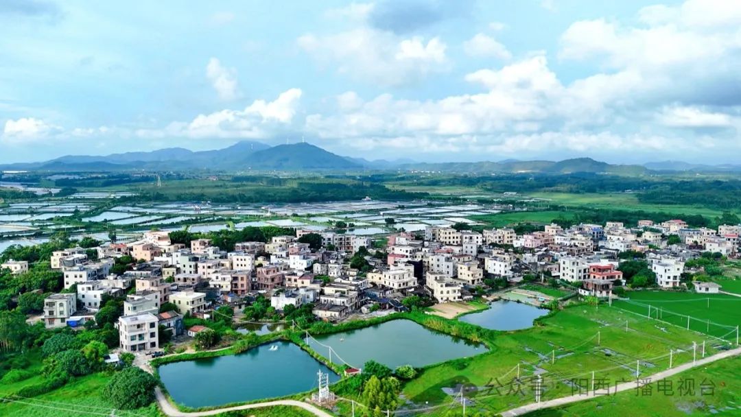 儒洞镇这个村有5位百岁老人!他们的长寿秘诀是 -阳西县人民政府网站