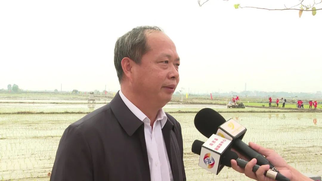 阳西县农业农村局 局长 吴锐:机械化综合利用水平达到80%左右,接下来