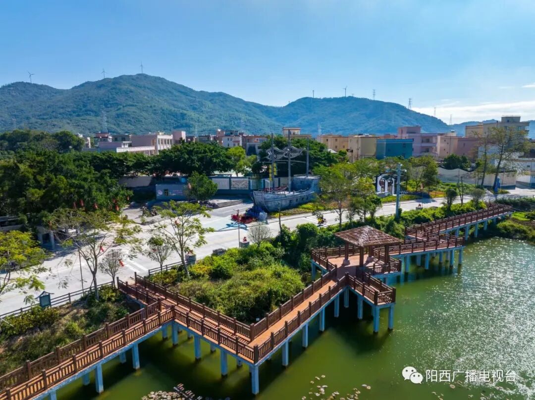 重磅阳西县代表阳江市参加全省第三届乡村振兴大擂台活动