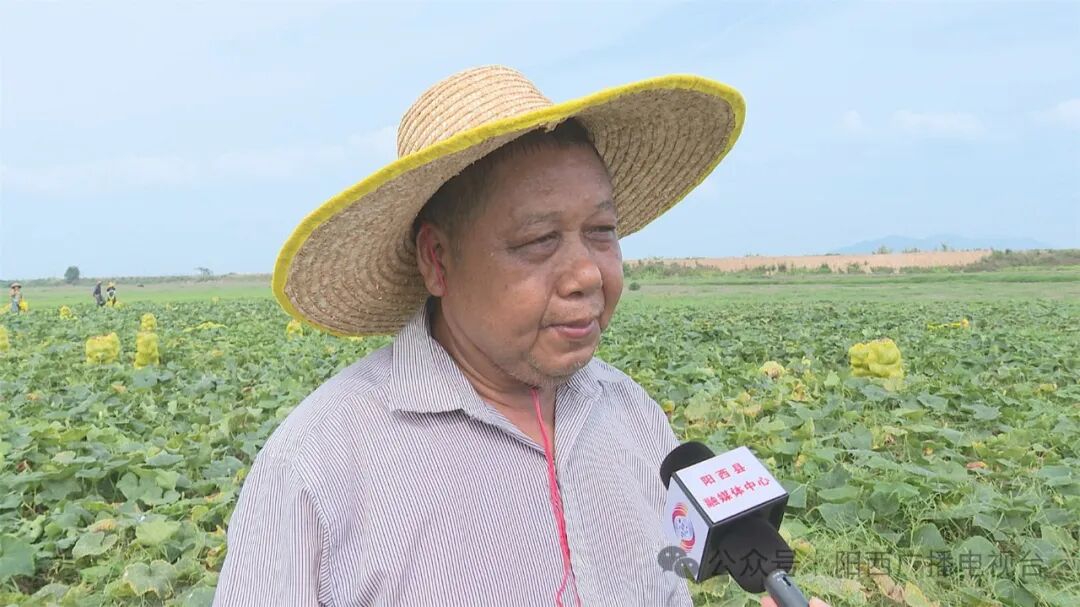 【百千万工程】溪头:盐碱地种出"金瓜瓜"