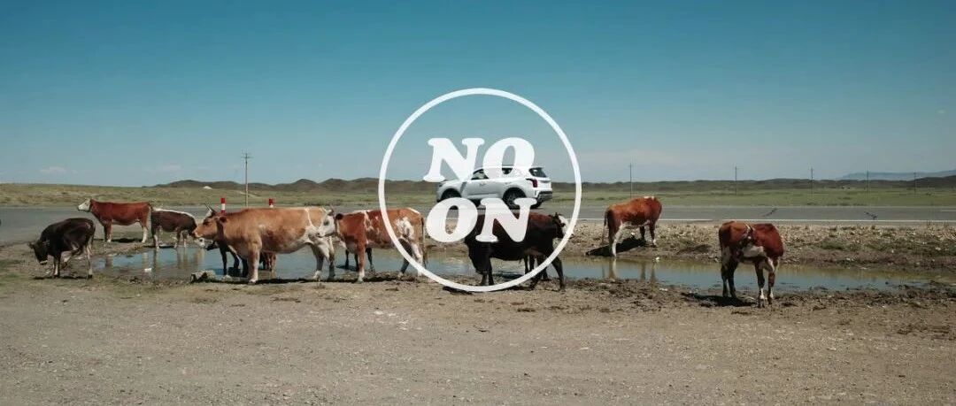 草原、星空、喀赞其：疫情下的新疆行 | 正午视觉