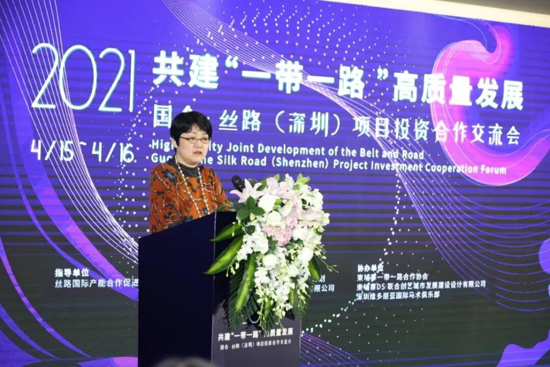 “走出去”企业云集一堂·七星海城市大放异彩