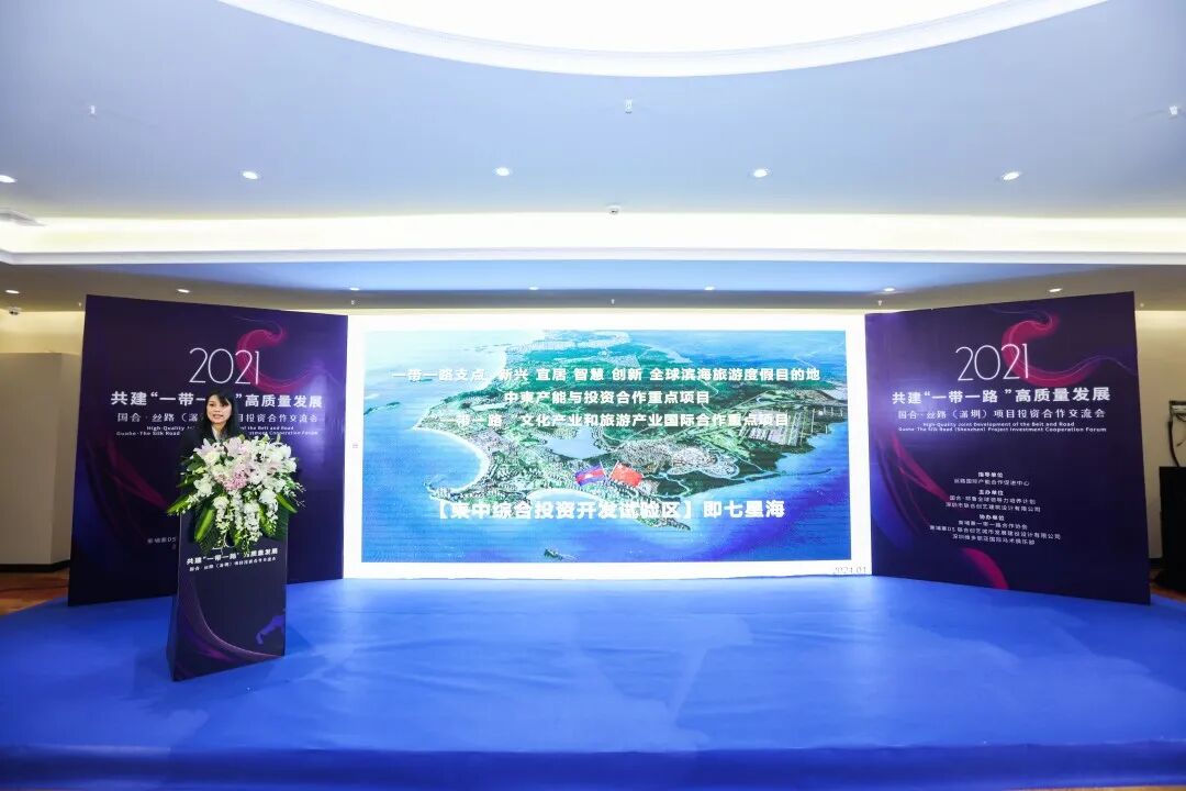 “走出去”企业云集一堂·七星海城市大放异彩
