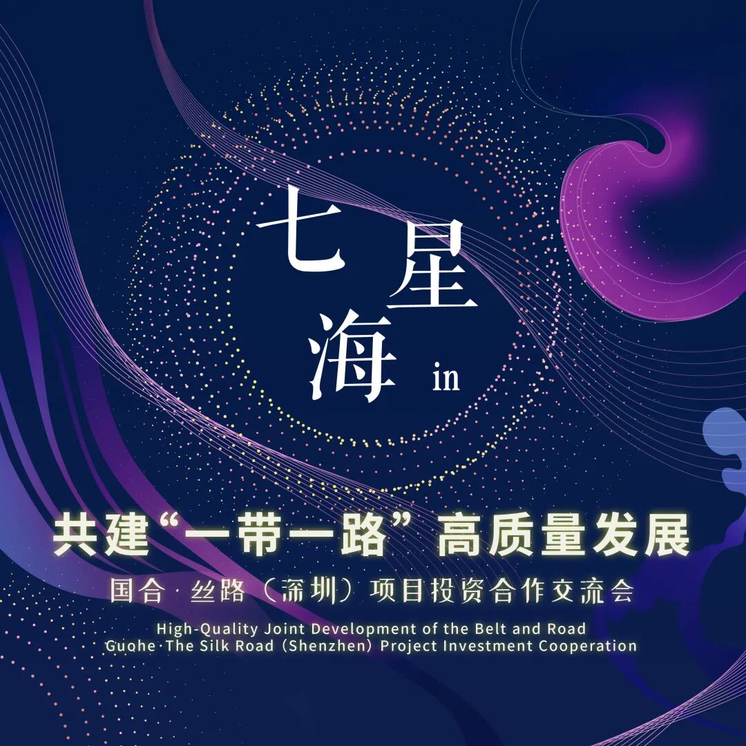 “走出去”企业云集一堂·七星海城市大放异彩