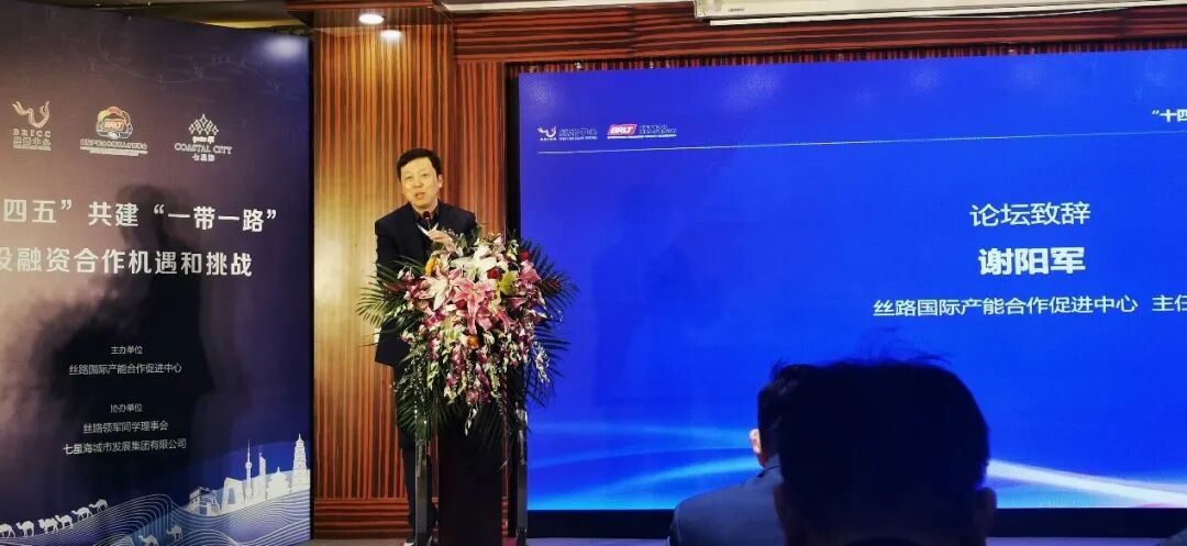 “十四五”共建“一带一路”投融资合作机遇和挑战论坛举办 七星海城市受邀参加并发表主题演讲