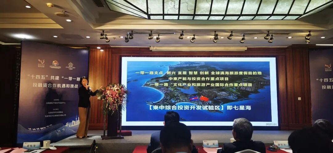 “十四五”共建“一带一路”投融资合作机遇和挑战论坛举办 七星海城市受邀参加并发表主题演讲