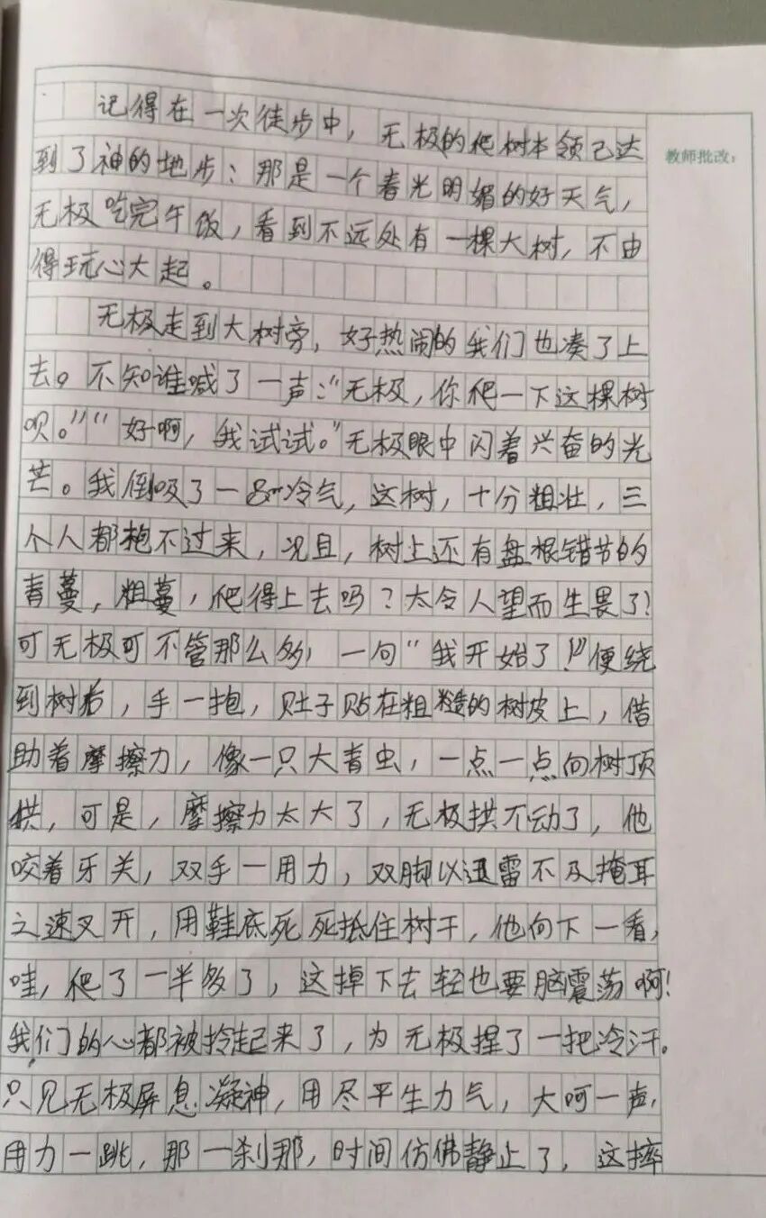 【我的世界】| “人猿“无极 配图7