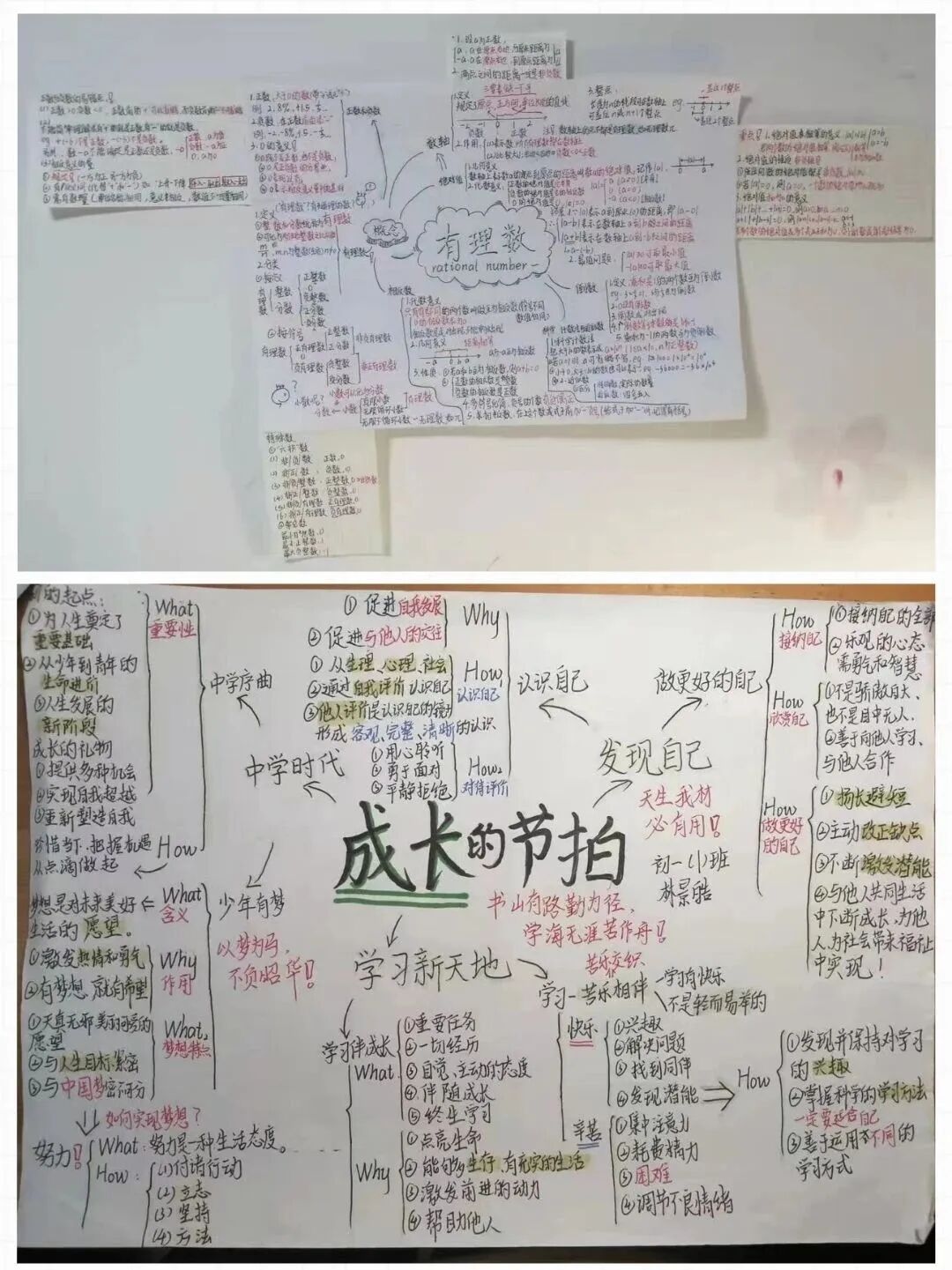学以致用，学习真好玩 | 右满舵2023年跨学科学习力夏令营 配图18