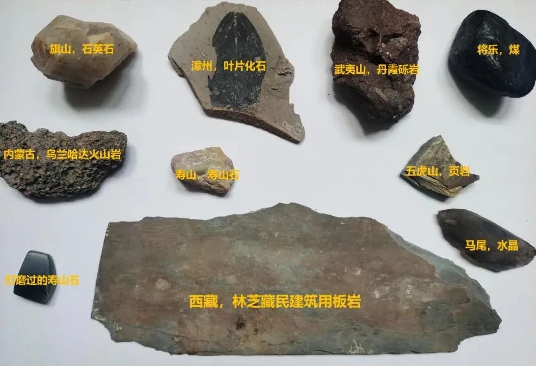 课程回放 | 这个关于地球往事的班级总是一票难求 配图16