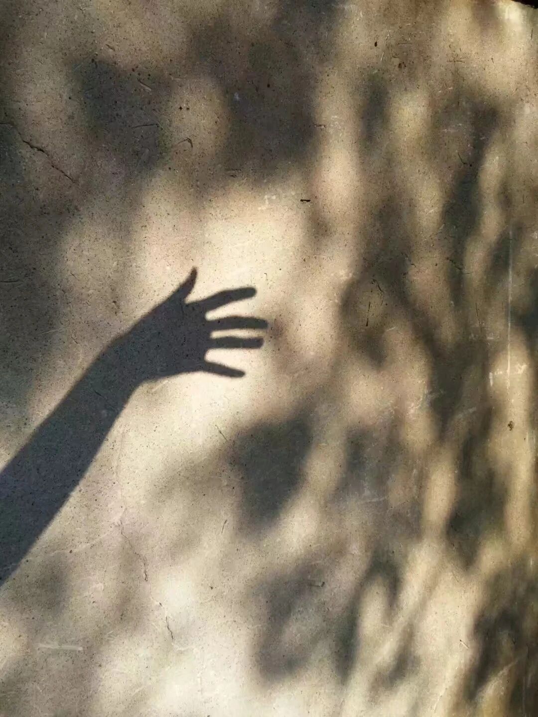 这4件事很多人在做，千万别等视力下降了，才知道！