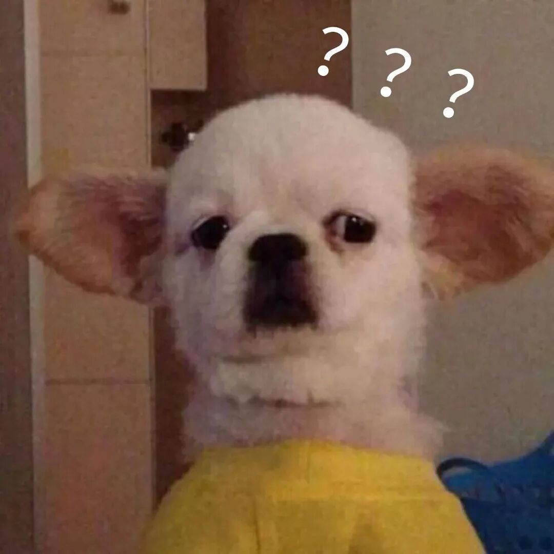 人人网校内网app_人人网校内_人人网校内网登录官网app