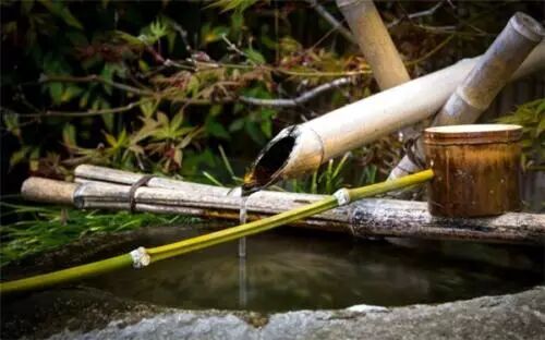 身体记录着一切——父母体内的压力细胞记忆，会传导给孩子