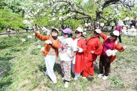 游客在辽宁千山踏春赏花