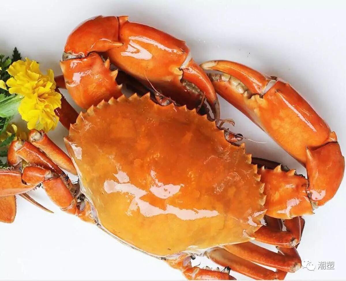 膏蟹含有丰富的蛋白质,微量元素等营养