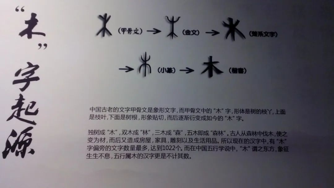 鐵柚木地板好還是菠蘿格地板好_問道力木好還是體木好_地板磚還是木地板好