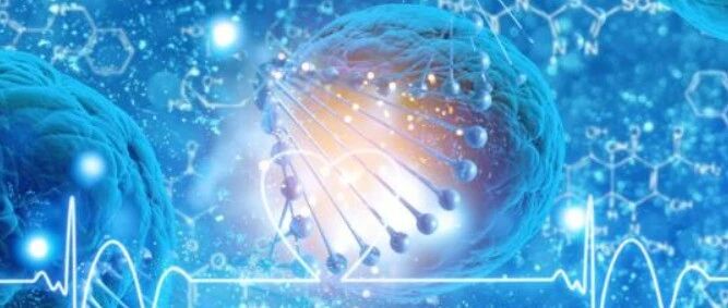 血液炎症因子与肿瘤营养不良