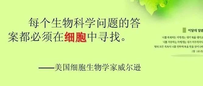 我国细胞治疗行业新增政策大全