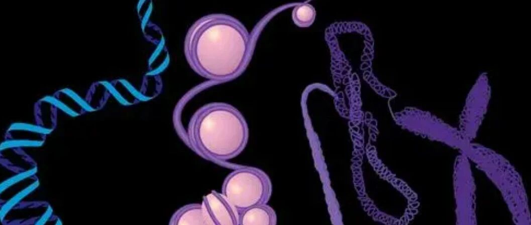 结直肠癌免疫治疗的研究进展