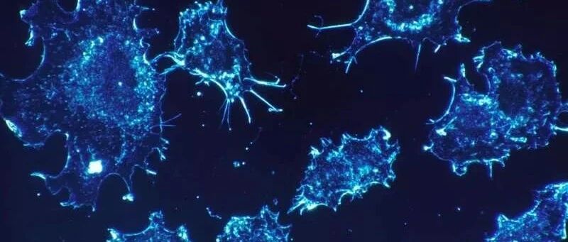 新型肿瘤标志物