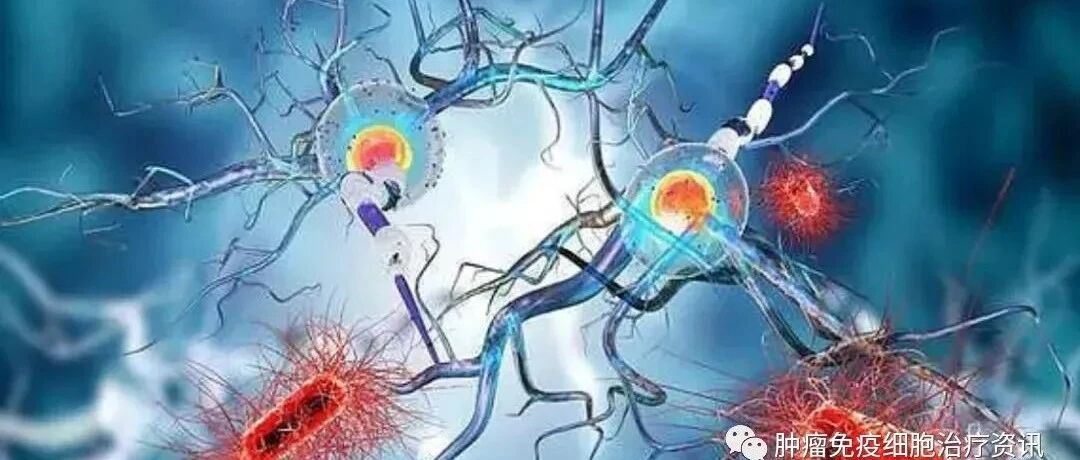 从微观到宏观漫谈肿瘤免疫检查点抑制剂疗效的影响因素