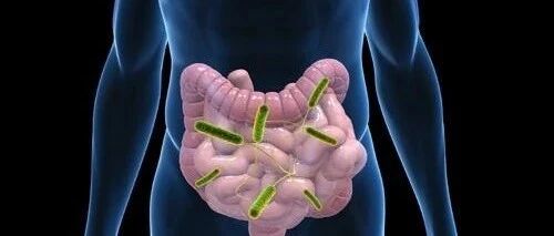 基于器官功能保全的局部进展期直肠癌诊治新策略