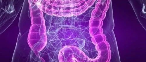 Siglec-15在结直肠癌治疗中的研究进展