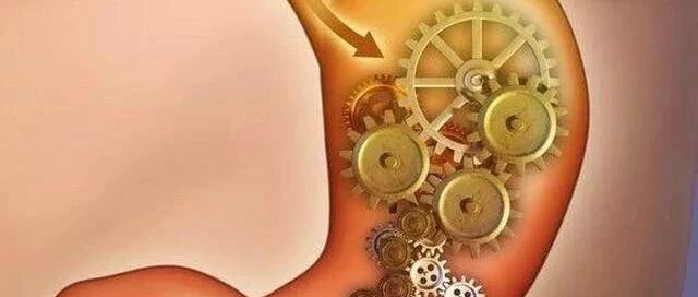 胃癌的分子诊断与精准免疫治疗