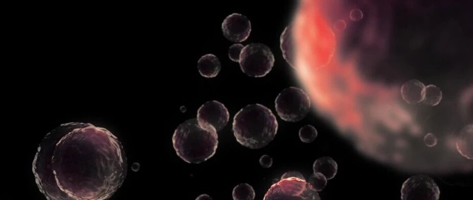 新冠肺炎大流行期间肿瘤患者免疫治疗遇到的挑战如何破？||肿瘤患者COVID-19感染风险是否更高，接种疫苗是否安全有效？