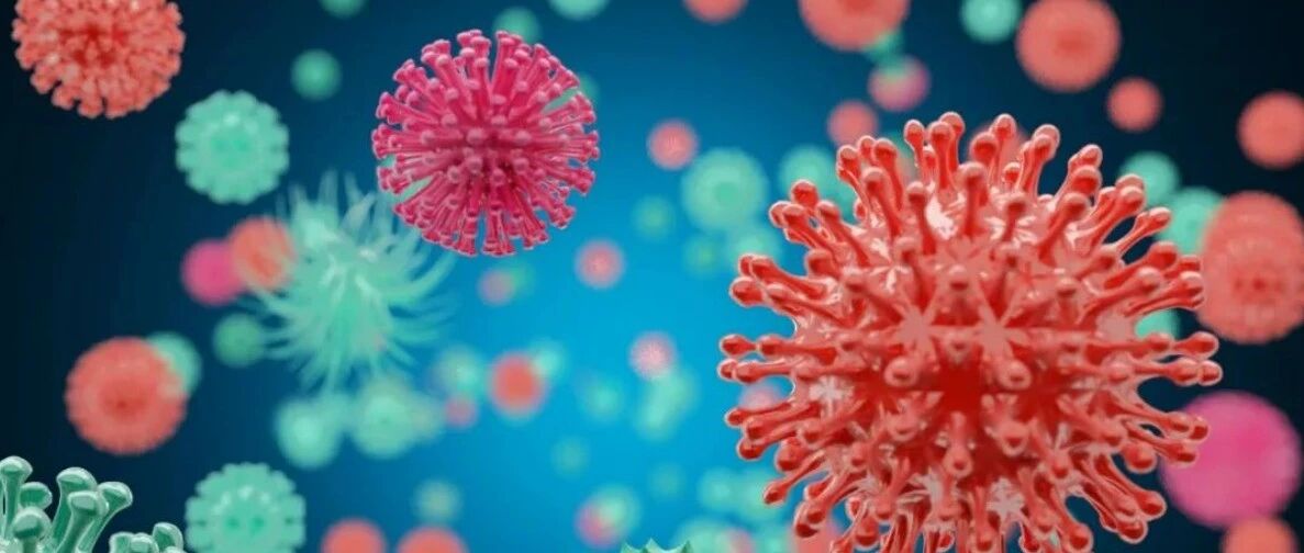 肿瘤免疫微环境与衰老