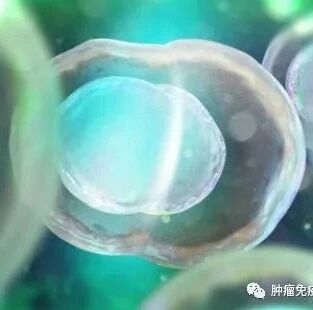 如何分辨常见致癌物