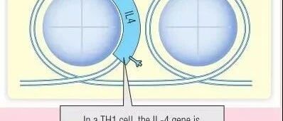 BTK抑制剂耐药机制及应对策略