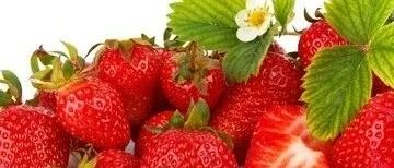 恶性肿瘤患者的健康饮食是什么样的？