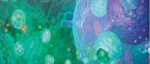 循环外泌体PD-L1与恶性肿瘤