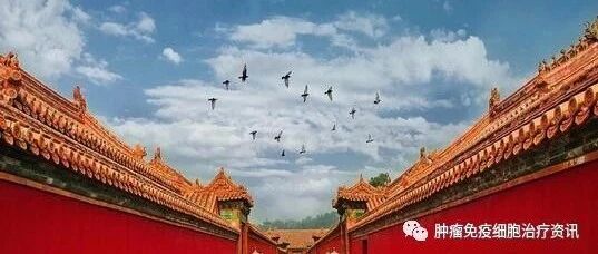 健康中国战略背景下对癌症防控策略的思考与探究