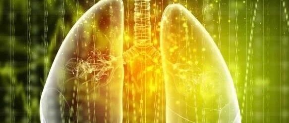 一项系统综述和Meta分析：在 NSCLC 的免疫治疗中高危患者应密切监测