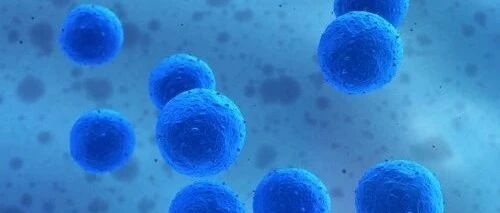 你听说过防病毒需要抗体了，那T细胞是啥？