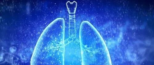 小细胞肺癌免疫治疗的临床研究进展