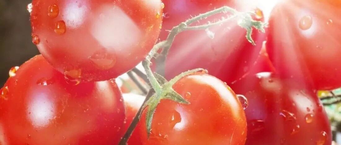 我们一起来看看患者常见的十大营养误区和真相，希望对大家对抗肿瘤有所帮助。