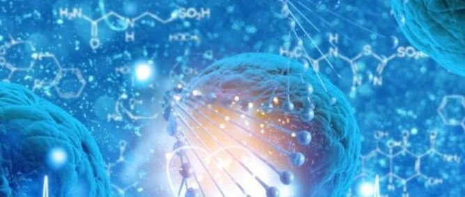 【2021年欧洲肿瘤内科学会-免疫肿瘤学年会】EGFR TKI耐药NSCLC免疫治疗再添新证