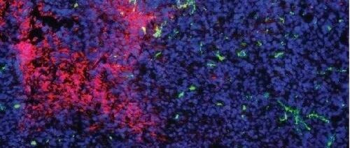 肿瘤患者可以按摩吗？