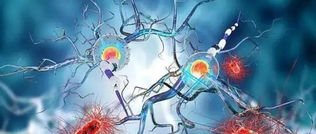 口服益生菌辅助治疗结肠癌的研究进展