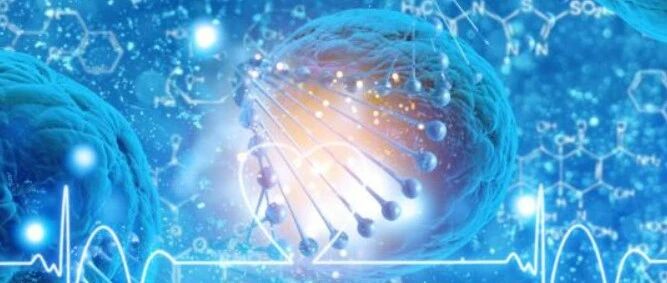 乳腺癌自然史及肿瘤生长速度的研究进展