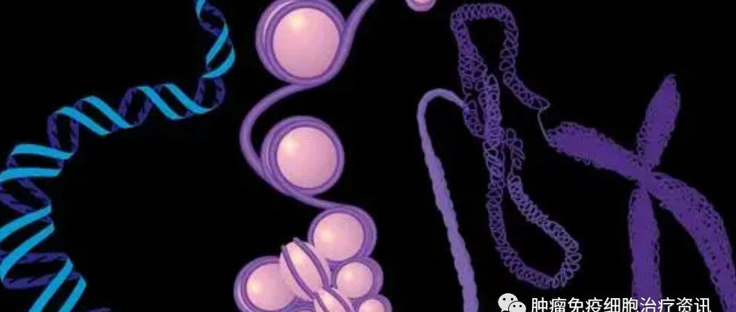 circRNA与消化道肿瘤：进展和机遇