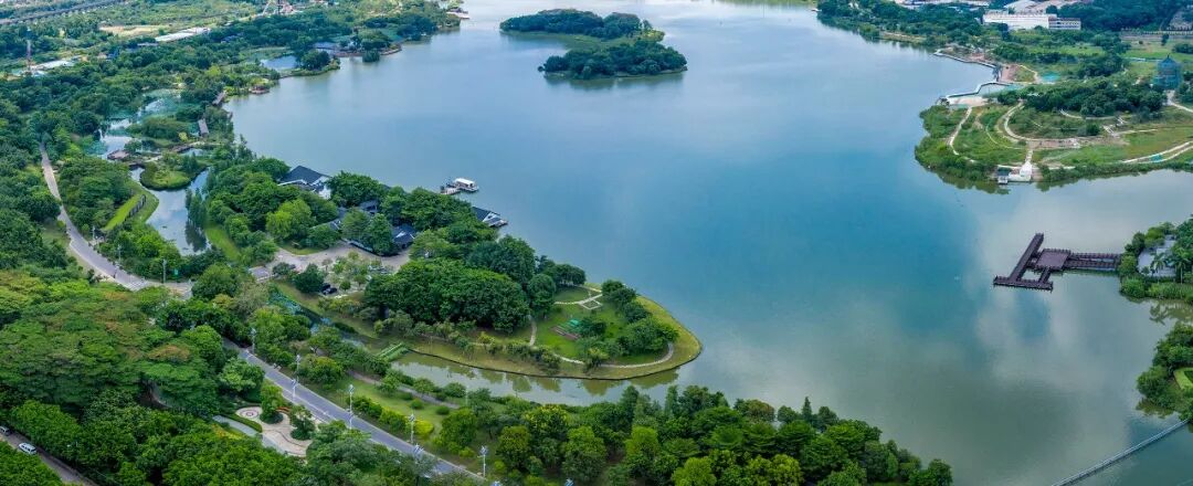 白云越秀天悦云湖加推新组团123㎡~140㎡大平层