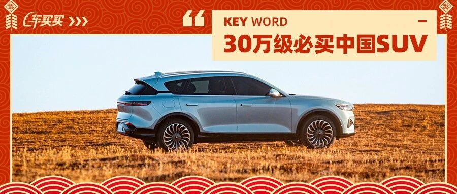 谁说30万非得买合资？这些中国SUV堪比天花板 比豪华品牌更豪华！