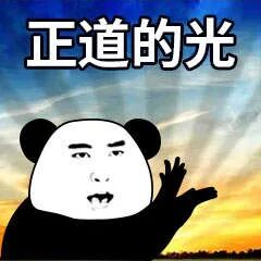 网易云反矫情神回答，文案超会怼