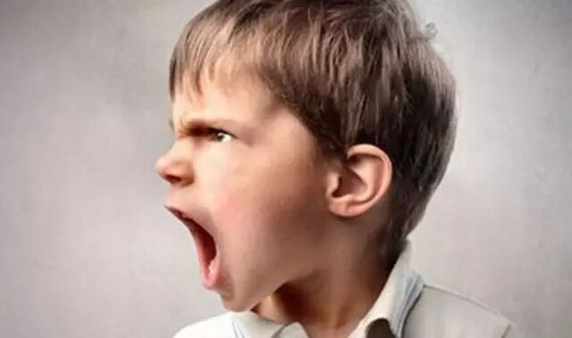 刻板行为，八问八答！