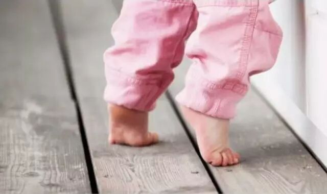 刻板行为，八问八答！